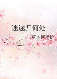 迷途归返纪录片
