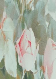 大家都想飞升你下界了80后