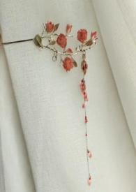 主角重生在白痴身上的