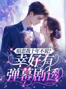 大明神探沙吉利